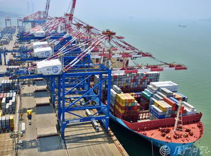 廈門入選又一國家級名單 還有學(xué)校 醫(yī)院 一大波新進(jìn)展