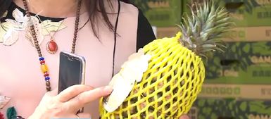 推動廈門高雄農(nóng)漁產(chǎn)品采購協(xié)議落地 高雄特色農(nóng)產(chǎn)陸續(xù) 登鷺